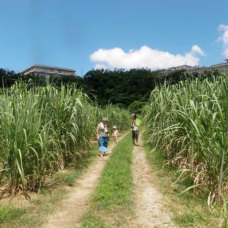 Okinawa Hostel Yanbaru Fukuro Nago Zewnętrze zdjęcie