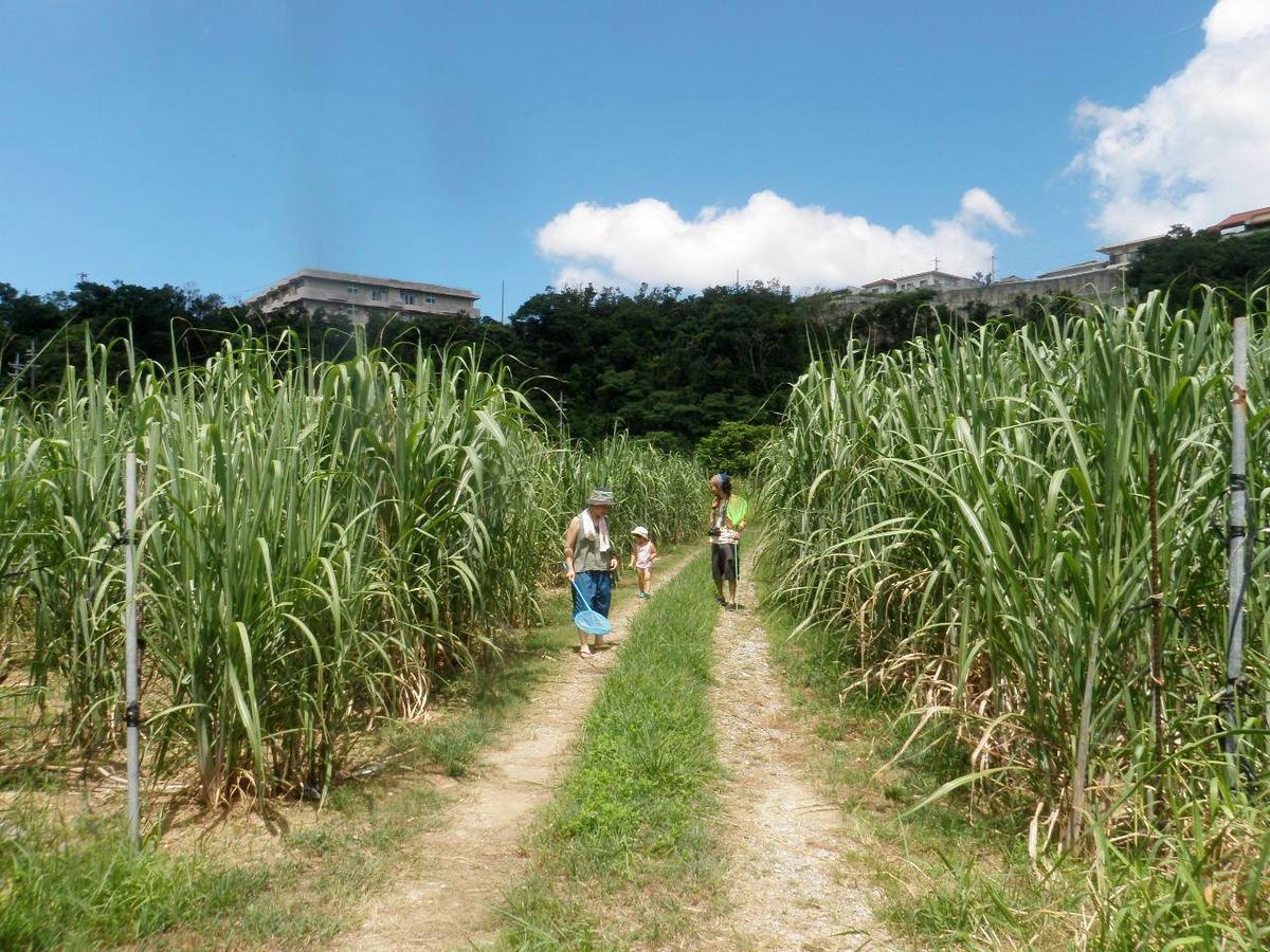 Okinawa Hostel Yanbaru Fukuro Nago Zewnętrze zdjęcie