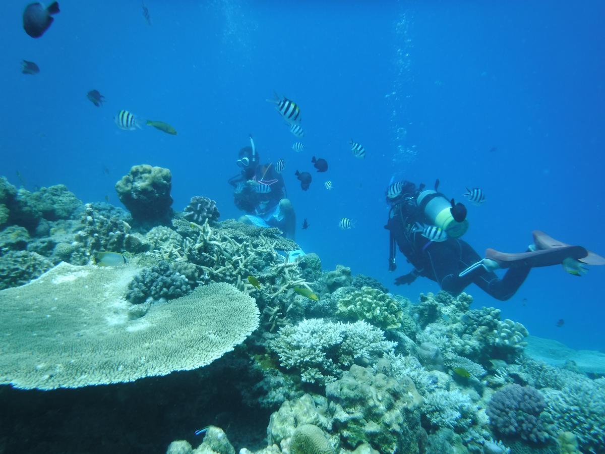 Okinawa Hostel Yanbaru Fukuro Nago Zewnętrze zdjęcie