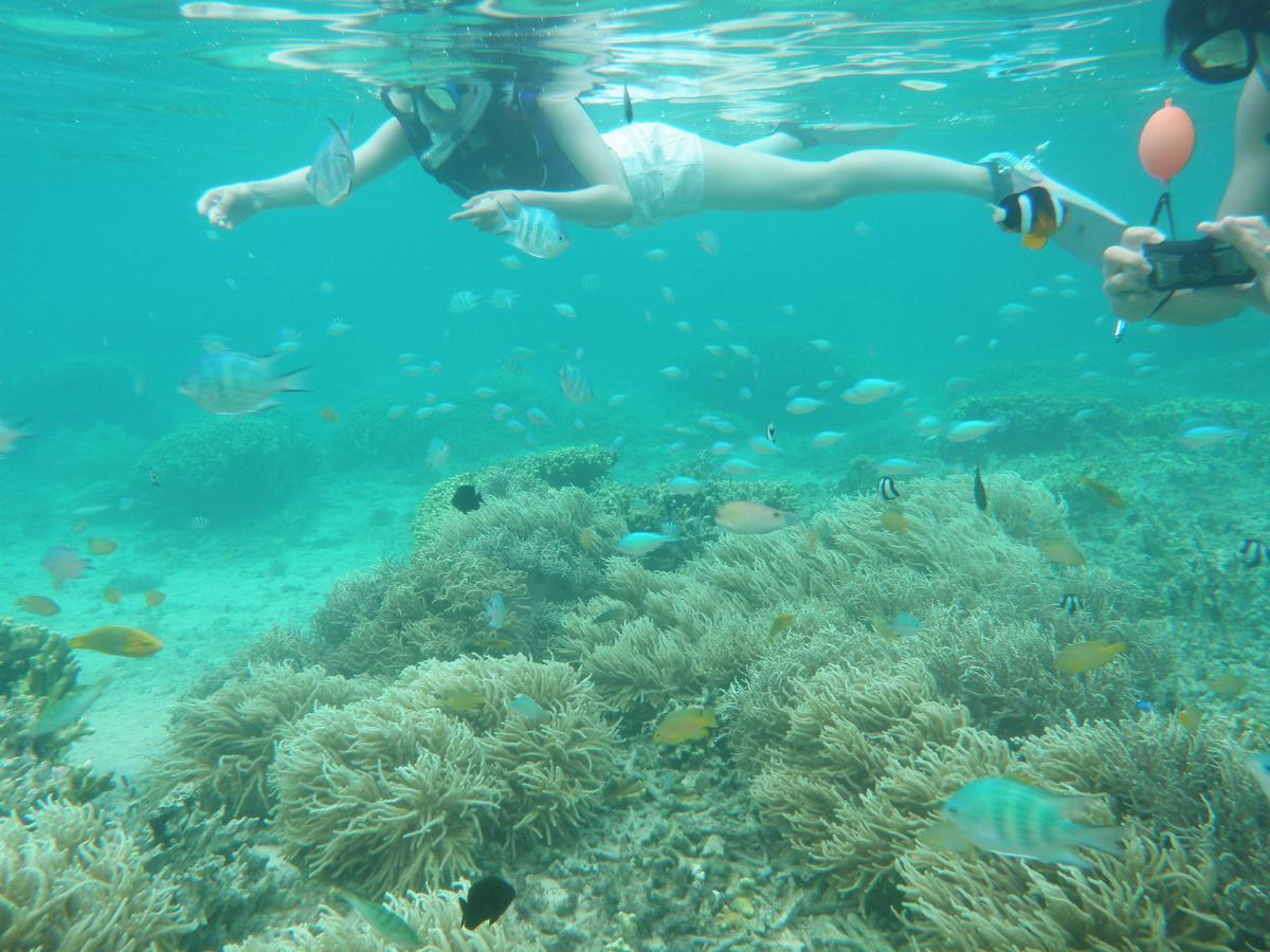 Okinawa Hostel Yanbaru Fukuro Nago Zewnętrze zdjęcie